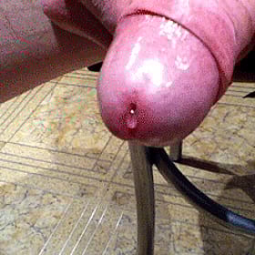 Cum Dripping, Edging, and Oozing: A Sensual Experience'