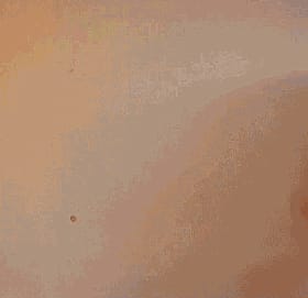 Amateur Babes with Big Tits: A XXX GIFER.com Experience'