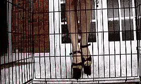 Caged BDSM Mistress: Femdom in Chains'