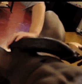 Ebony Booty Rubbing: Black Man's Backside Gets Tamed'