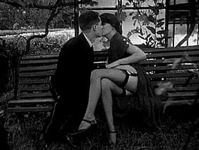 Babes in Stockings: A Seduction in Black and White'