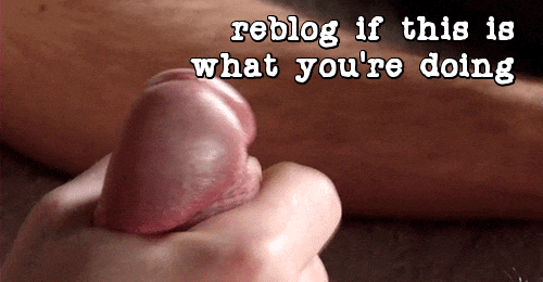Masturbation: The Best Way to Reblog If You're Feeling Frisky picture 1 of 1