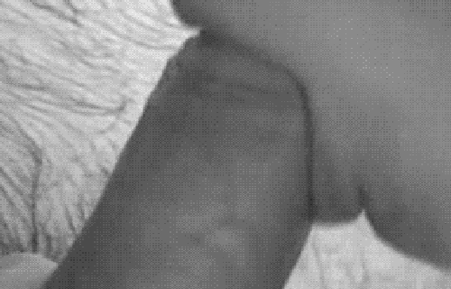 Smooth Blowjob: A Tender, Sexy Experience picture 1 of 1