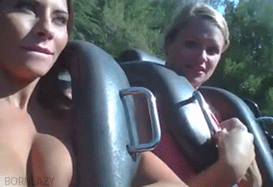 Hot Chicks Riding Roller Coasters picture 1 of 1
