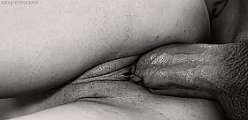 Creamy Pussy: A Juicy, Wet Mess'
