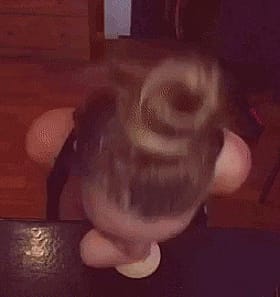 Blowjob Babe Gets Her Toy'