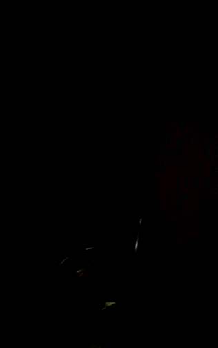 Cheating Wife's Black Lover picture 1 of 1