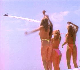 Bikini Babe's Wild Plane Ride'