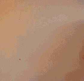 Flash Your Boobs: A Titty-licious Experience'