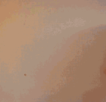 Flash Your Boobs: A Titty-licious Experience picture 1 of 1