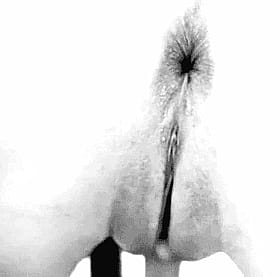 Pussy Porn: A Slick, Slimy, Sensual Experience'
