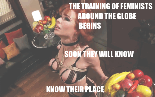 BDSM Training of Feelings Around the Globe Begins Soon picture 1 of 1