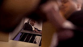 Babes Giving Blowjobs to Pornstars'