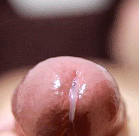 Masturbation: The Ultimate Guide to Pleasure'