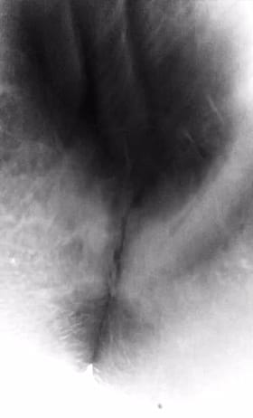 Pulsating hairy pussy'