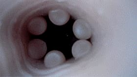 Cumshots, Masturbation, Penis, Solo Male, Teen, Toys: A Guide to Exploring Your Sexuality'