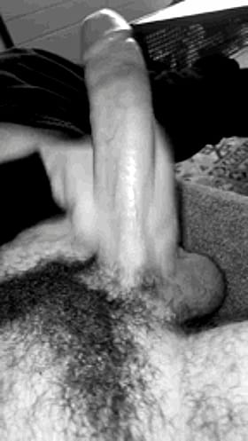 Hairy Balls: A Handjob for Masturbation and Penis Pleasure'