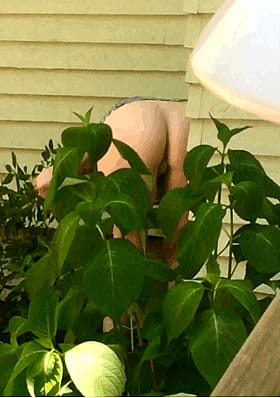 Bent Over Gardening Exhibitionist: Non-Nude Public Ass Show'