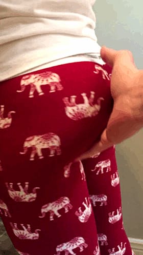 Indian Sex Pants: Get Your Elephant Trunk On These Hot Pants'