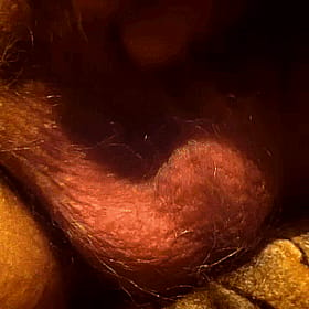 Get a Handjob from a Hairy Penis: A Close-Up View'