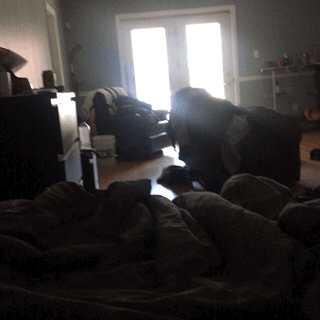 Wake Up to a Big Dick Morning Sex Session picture 1 of 1