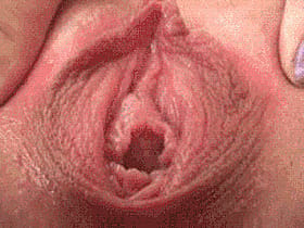 Pussy Close Up: Throbbing Pussy Shot'