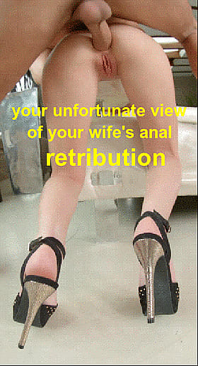 Your Unfortunate View of Your Wife's Anal Retribution'